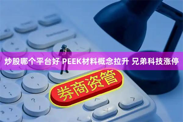 炒股哪个平台好 PEEK材料概念拉升 兄弟科技涨停