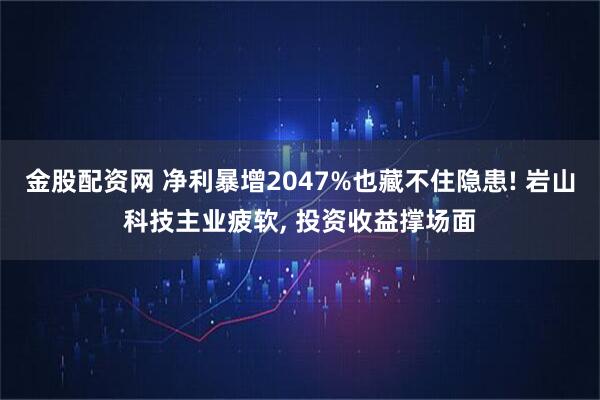 金股配资网 净利暴增2047%也藏不住隐患! 岩山科技主业疲软, 投资收益撑场面