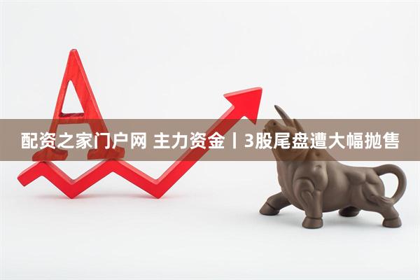 配资之家门户网 主力资金丨3股尾盘遭大幅抛售